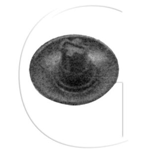 Walbro Ventil 176-126