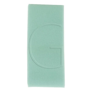 Original Briggs & Stratton Forfilter – 272403S