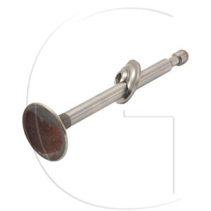 Original Briggs & Stratton Indsugningsventil – 296677