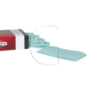 Original Briggs & Stratton Forfilter – 4142