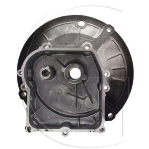 Original Briggs & Stratton Carter cover – 590569
