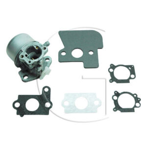 Original Briggs & Stratton Karburator – 790120