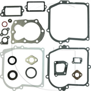 Original Briggs & Stratton Gasket set – 794209
