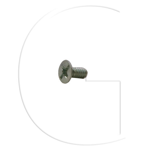 Walbro Circuit plate screw 96-270